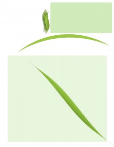 Portada Verde con Hojas Portada Verde con Hojas