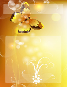 Caratula fondo anaranjado con diseño de mariposa Caratula fondo anaranjado con diseño de mariposa